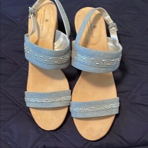 Women's Blue and Silver Sandals